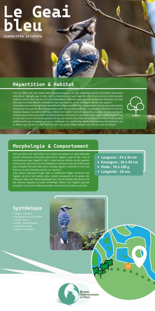 amélioration de l’expérience visiteur