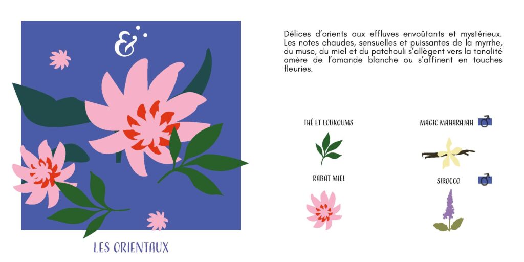 brochure marque cosmétique premium