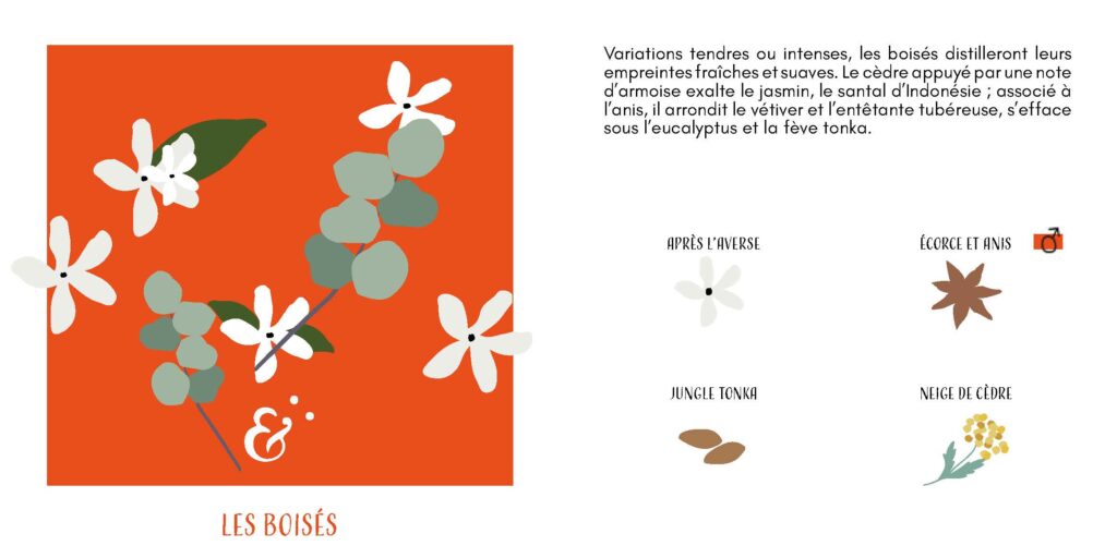 brochure parfumerie design graphique luxe