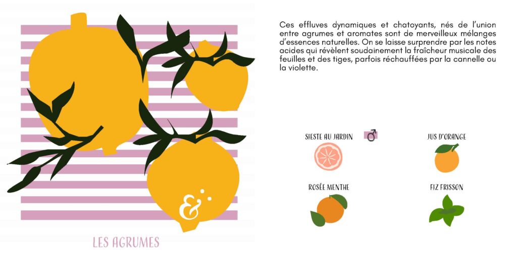 mise en page éditoriale parfumerie haut de gamme